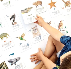 Imagen de Flashcards