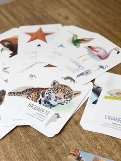 Flashcards - Entre Nubes