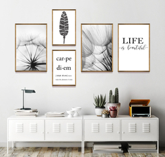 Set Carpe Diem -01- - comprar online