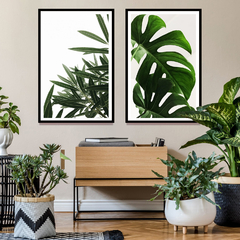Díptico Monstera -01- - comprar online
