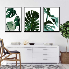 Set Monstera -01- - comprar online
