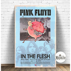 Pink Floyd -04-