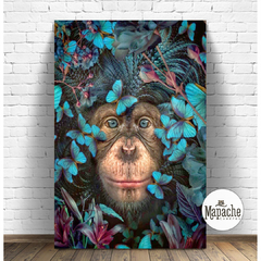 Monkey -01-