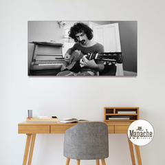 Frank Zappa -01-