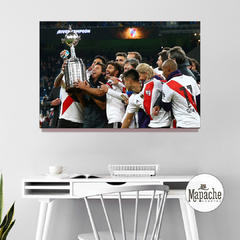 Libertadores 18´ -02-