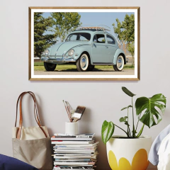 Beetle -01- - comprar online