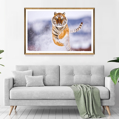 Tigre -01- - comprar online