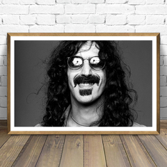 Frank Zappa -01- en internet