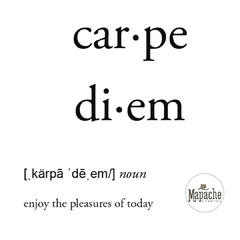 Set Carpe Diem -01- - mapache cuadros