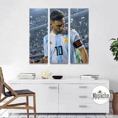 Tríptico Messi -05-