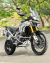 TRIUMPH TIGER 900