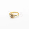 Anillo NA1314