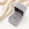 Anillo Plateado NA1849