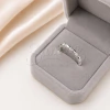 Anillo Plateado NA1890