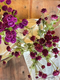 Vara flor de maiz y crisantemo