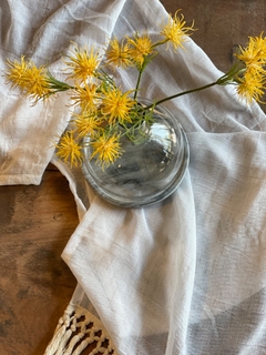 Vara de flor de hamamelis