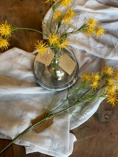 Vara de flor de hamamelis - comprar online