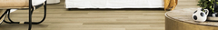 Banner de la categoría Vinilicos