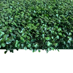 Jardín Vertical Buxus (50x50) Transformá tu espacio - comprar online