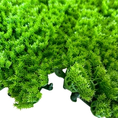 Jardín Vertical Musgo (50x50) Decoración Ecológica Versátil - comprar online