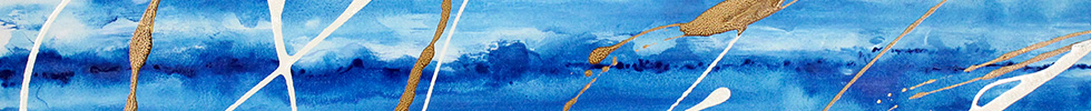 Banner Miranda Vivace 