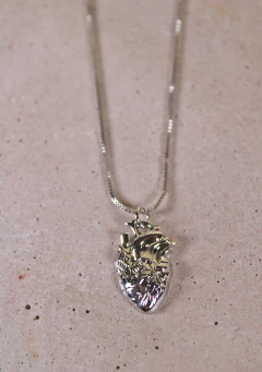 Cadena Corazón Anatómico