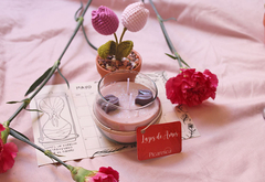 Imagen de Kit Lazos de Amor