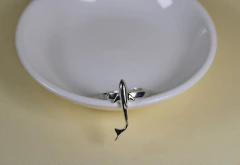 Anillo Tiburón en internet