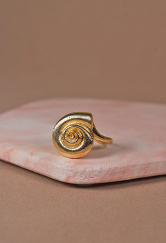 Imagen de Anillo espiral del mar
