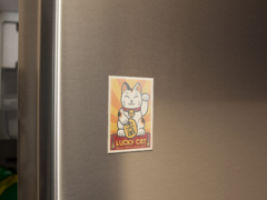 iman gatos mascotas