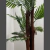 Palmera con tronco artificial - comprar online