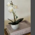 Orquídea Planta artificial con Maceta - comprar online