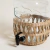 Dispenser fibras en internet