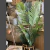 Palmera planta artificial - Rancho Deco