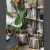 Sterlitzia planta artificial - Rancho Deco