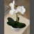 Orquídea Planta artificial con Maceta - Rancho Deco