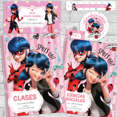 DISEÑO LADYBUG (VC120)