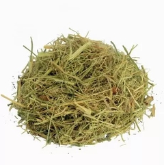 CHÁ MELÃO DE SÃO CAETANO 100GR
