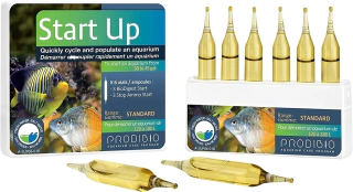Prodibio Start UP - Unitário ( 1 Biodigest + 1 Ammo Start )
