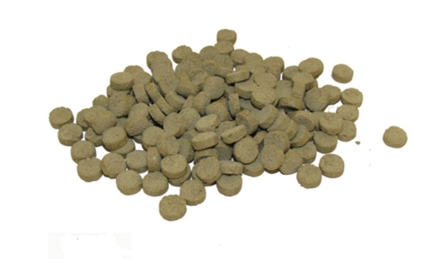 Ração Alcon Carnivoros de Fundo 500g
