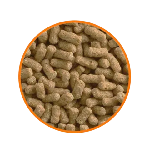 Ração Poytara Tigre D'Agua Catuli 30g