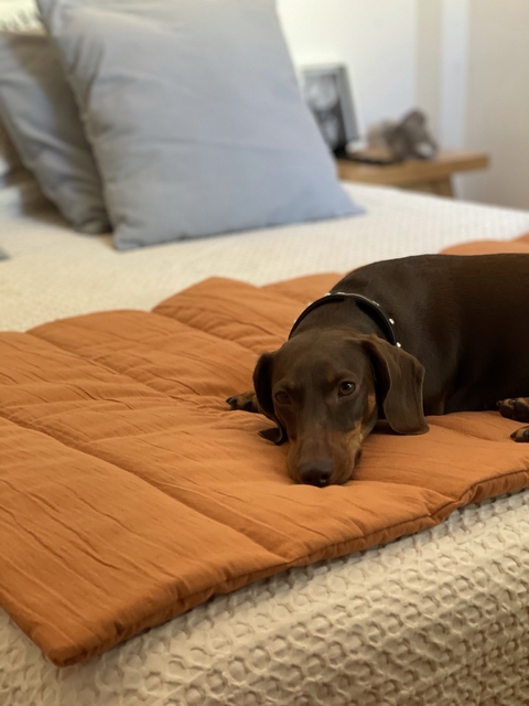 PILLOW / MAT HOUSE