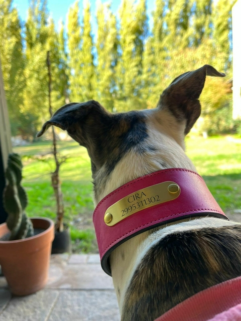 GALGO STYLE LEATHER - comprar online