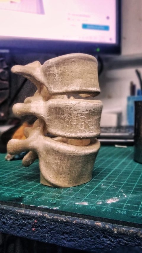 Lapicero vertebras flotantes promo