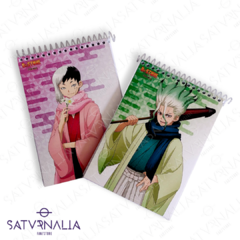 Anotadores Dr. Stone - comprar online