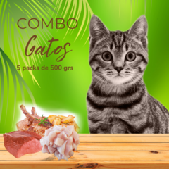 Banner de la categoría Gatos