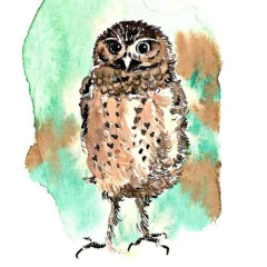 Quadro Aquarela 23 Coruja