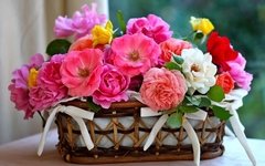 Quadro Flores 203