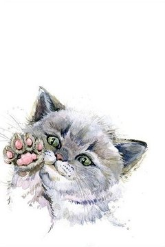 Quadro Gato 13 - Portal Quadros