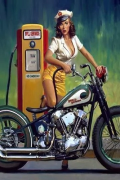 Quadro moto 46